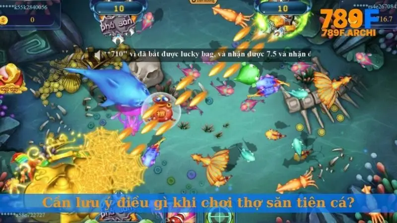 Cần lưu ý điều gì khi chơi Thợ Săn Tiên Cá?