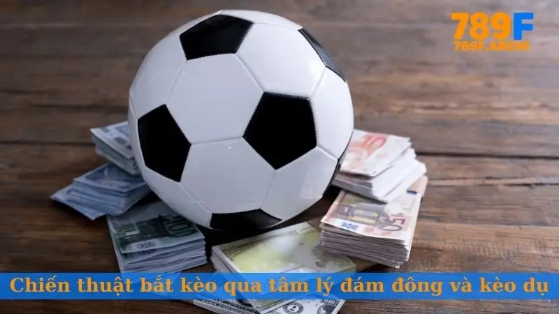 Chiến thuật bắt kèo qua tâm lý đám đông và kèo dụ