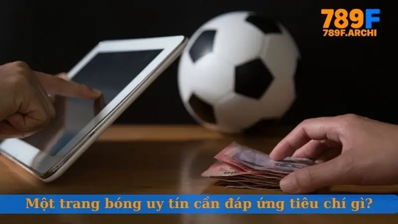 Một trang bóng uy tín cần đáp ứng tiêu chí gì?