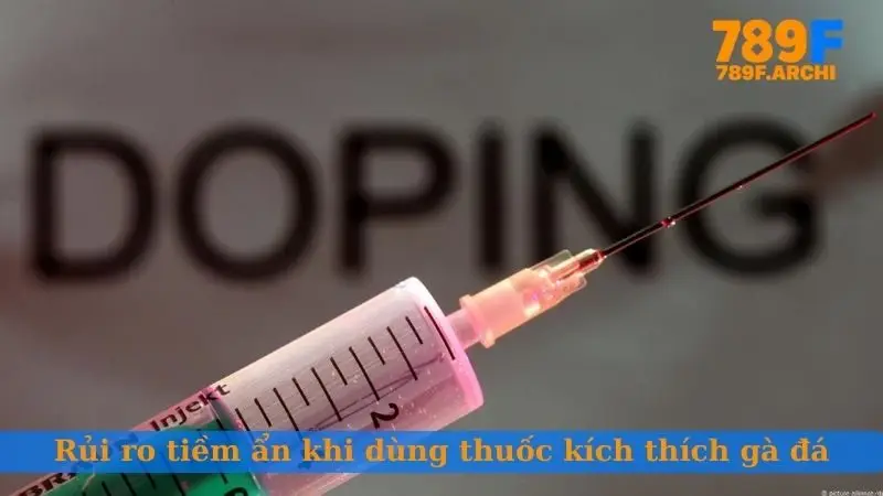 Những rủi ro tiềm ẩn khi dùng thuốc kích thích gà đá